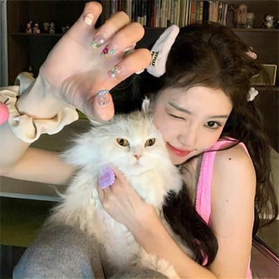 梅与小猫巴士